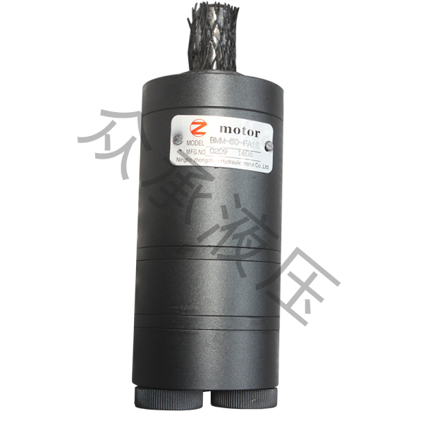 Hydraulic motor